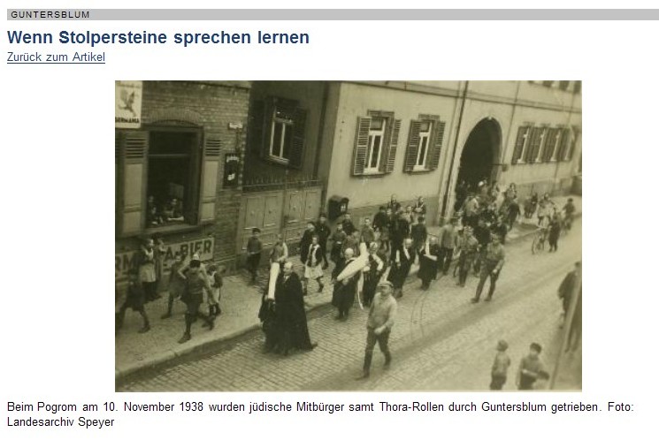 Foto zum Artikel aus der Allgemeinen Zeitung, Landskrone vom 1.7.2011